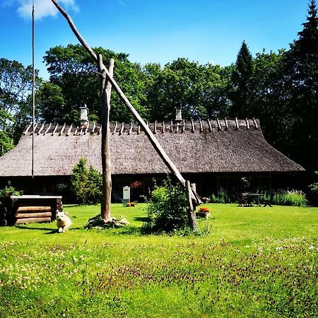 Kotka Farm Otel Saarekula Dış mekan fotoğraf