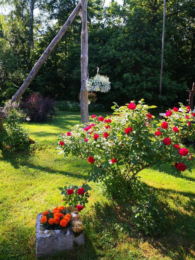 Kotka Farm Otel Saarekula Dış mekan fotoğraf