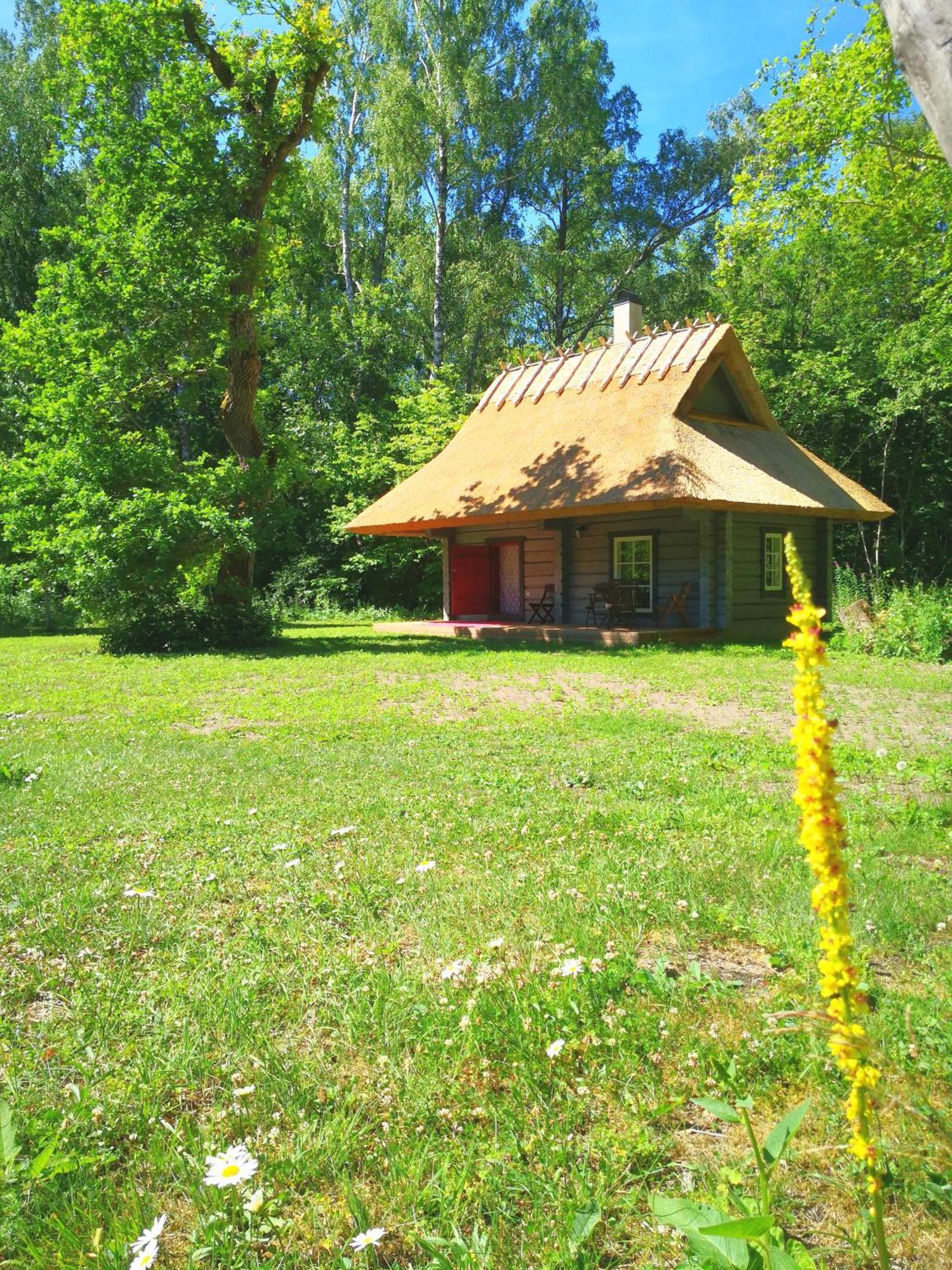 Kotka Farm Otel Saarekula Dış mekan fotoğraf