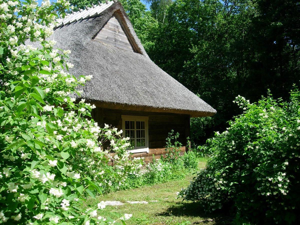 Kotka Farm Otel Saarekula Dış mekan fotoğraf