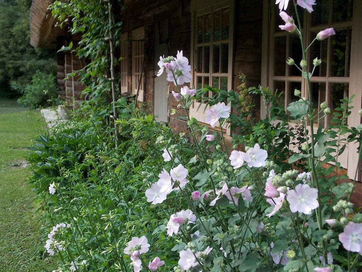 Kotka Farm Otel Saarekula Dış mekan fotoğraf
